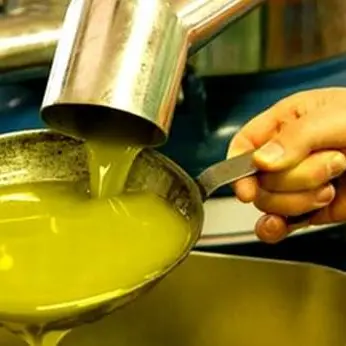 Accusato di aver agevolato la cosca Piromalli, scarcerato imprenditore