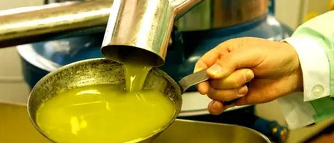 Accusato di aver agevolato la cosca Piromalli, scarcerato imprenditore