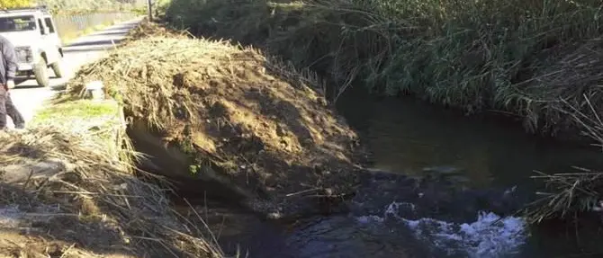 Viola i sigilli per continuare l’attività del frantoio, arrestato