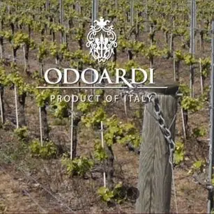 Sigilli alle cantine Odoardi, sequestrati 540mila litri di vino