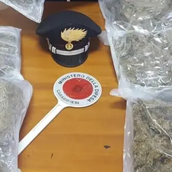 Nascosti tra i mandarini 12 chili di marijuana: un arresto a Rosarno