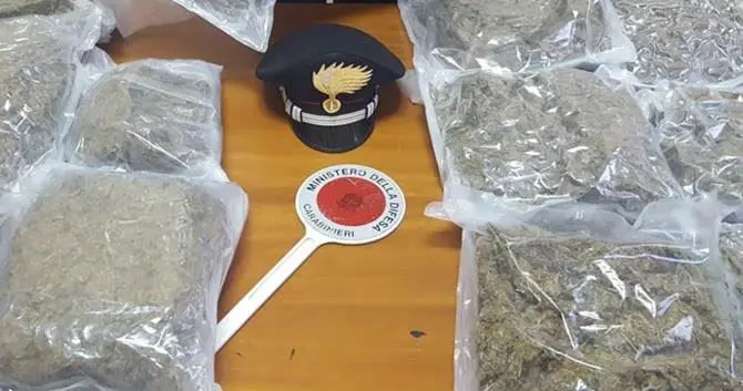 Nascosti tra i mandarini 12 chili di marijuana: un arresto a Rosarno