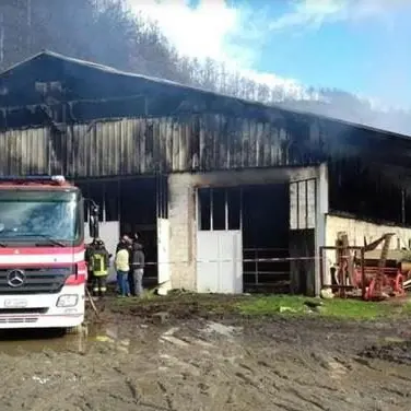 A fuoco un capannone a Bianchi