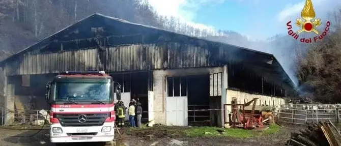 A fuoco un capannone a Bianchi