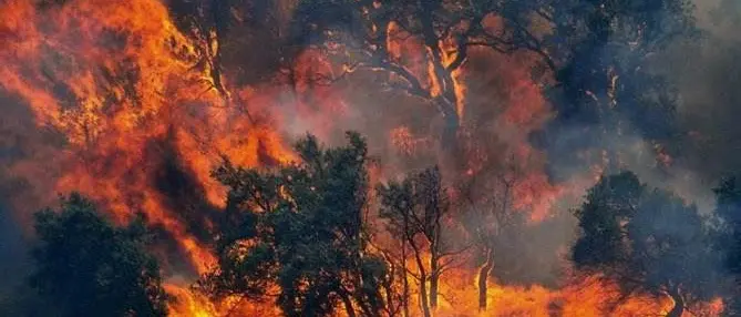 Prevenzione incendi, approvata la legge