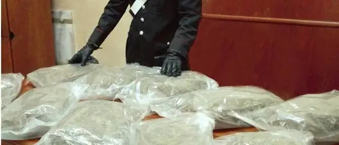 Rosarno, in auto con 11 chili di marijuana: arrestato