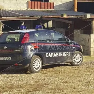 Smaltimento rifiuti, nei guai azienda di bovini a Polistena