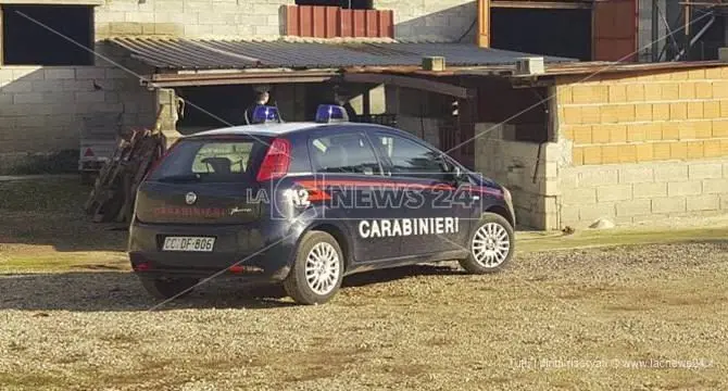 Smaltimento rifiuti, nei guai azienda di bovini a Polistena