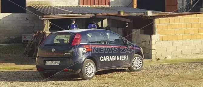 Smaltimento rifiuti, nei guai azienda di bovini a Polistena