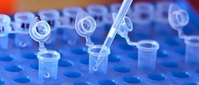 Affetti da una rara malattia genetica, ora anche a Reggio la possibilità di effettuare il test