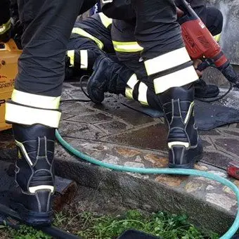 Catanzaro, cucciolo incastrato: salvato dai vigili del fuoco