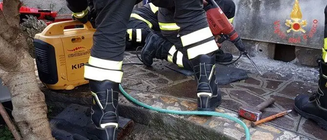 Catanzaro, cucciolo incastrato: salvato dai vigili del fuoco