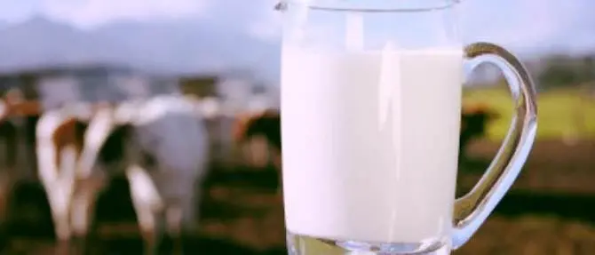 Un 2018 “buono” da mangiare