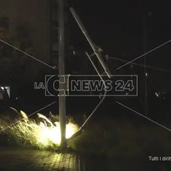Maltempo a Catanzaro, il forte vento abbatte alberi e pali della luce (VIDEO)