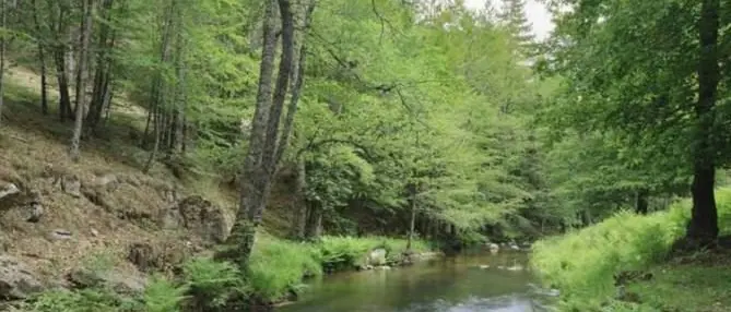 Parco Aspromonte, prorogati contratti a 21 lavoratori