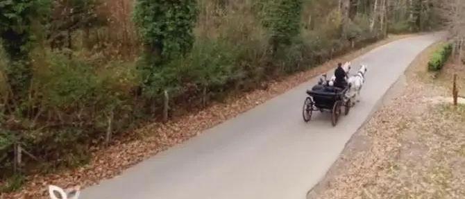 Linea verde sbarca in Calabria, riflettori su Vibo e Reggio