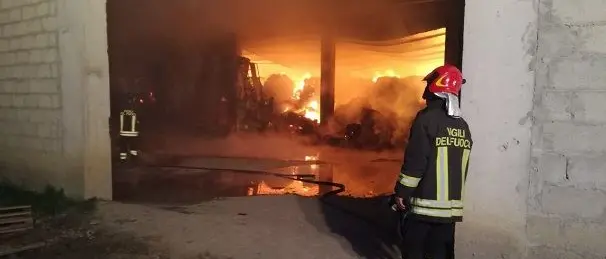 Incendiato capannone del presidente di Crotone di Confagricoltura