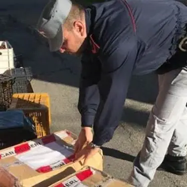 San Benedetto Ullano: sequestrati 150 chili di formaggi e salumi