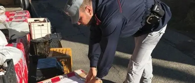 San Benedetto Ullano: sequestrati 150 chili di formaggi e salumi