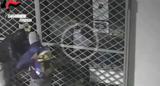 Furto e rapina, sgominata banda a Corigliano (VIDEO)