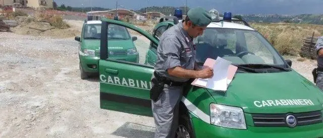 Frantoi abusivi sequestrati a Rossano dai carabinieri forestali