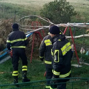Catanzaro, alberi sradicati e insegne divelte dalle raffiche di vento (FOTO)