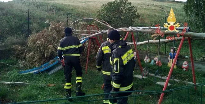 Catanzaro, alberi sradicati e insegne divelte dalle raffiche di vento (FOTO)