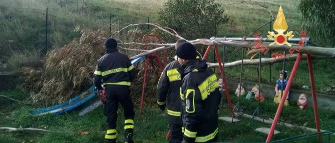 Catanzaro, alberi sradicati e insegne divelte dalle raffiche di vento (FOTO)