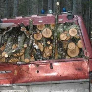Furto di legna nel parco della Sila, due arresti