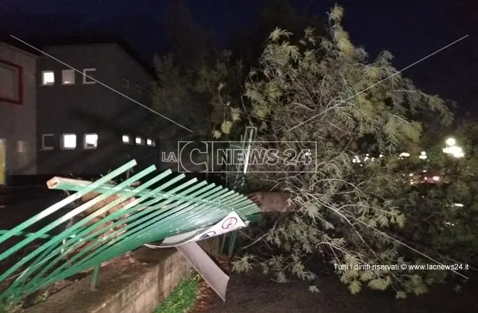 Maltempo: a Rende albero crolla sulla cancellata di una scuola (VIDEO)