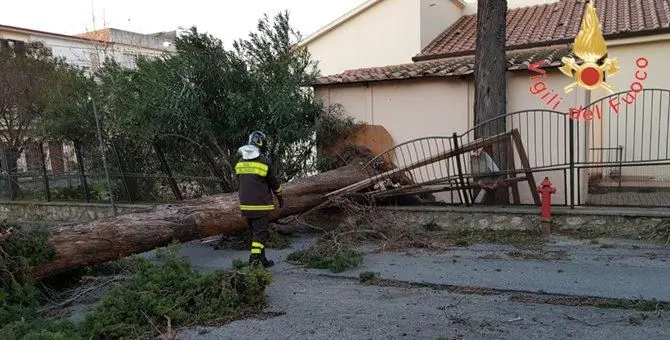 Catanzaro, maltempo: oltre duecento le richieste di intervento (FOTO)