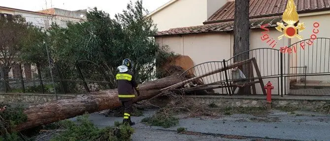 Catanzaro, maltempo: oltre duecento le richieste di intervento (FOTO)