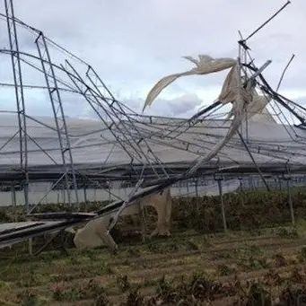 Maltempo, agricoltura in affanno: la Regione pronta a chiedere lo stato di emergenza