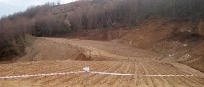 Taglio di bosco non autorizzato, una persona denunciata