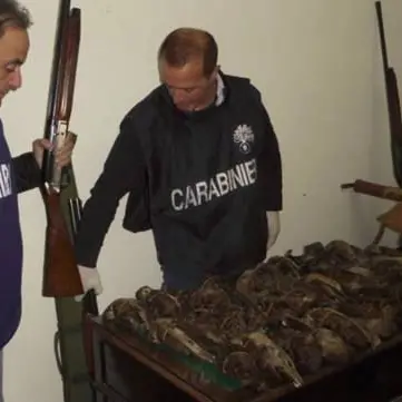 Bracconaggio a Corigliano, smascherata organizzazione dedita al “turismo venatorio” (VIDEO)