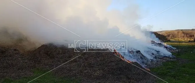 Catanzaro, rogo doloso in prossimità del fiume Corace