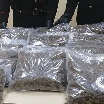 Gioia Tauro, in auto con 11 kg di marijuana: un arresto