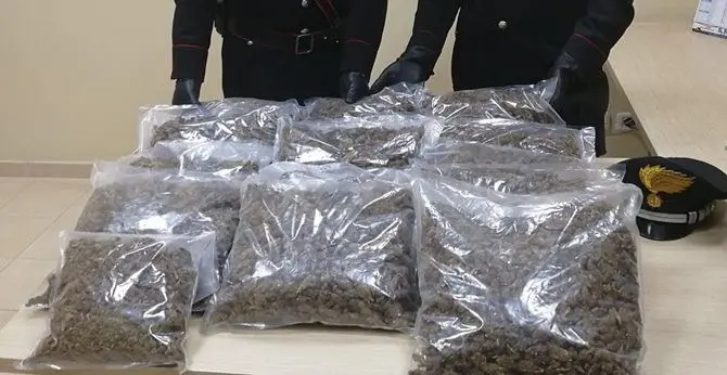 Gioia Tauro, in auto con 11 kg di marijuana: un arresto