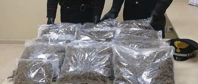 Gioia Tauro, in auto con 11 kg di marijuana: un arresto