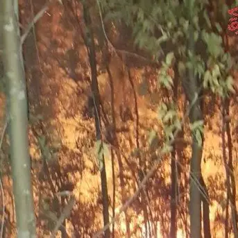 Incendio divampa nella notte a Sellia, domato dai vigili del fuoco