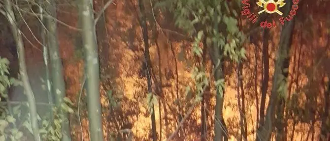 Incendio divampa nella notte a Sellia, domato dai vigili del fuoco