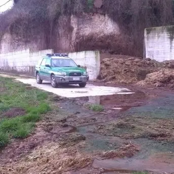 Smaltisce illecitamente rifiuti zootecnici, denunciato allevatore di Spilinga
