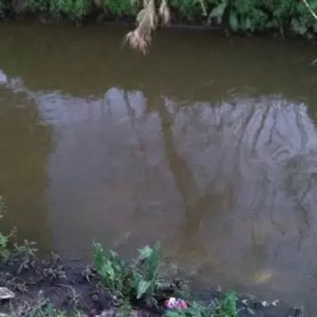 «Mesima inquinato»: la denuncia del sindaco Tripodi