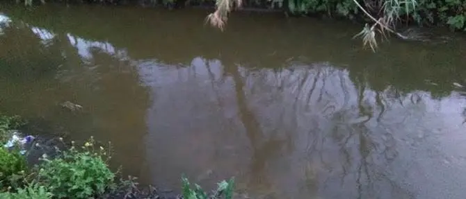 «Mesima inquinato»: la denuncia del sindaco Tripodi