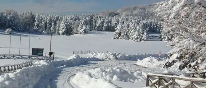 Sila, torna Dogs on the snow, la corsa dei cani da slitta