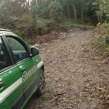 Lavori non autorizzati, denunciato il proprietario di un terreno