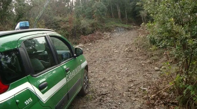 Lavori non autorizzati, denunciato il proprietario di un terreno