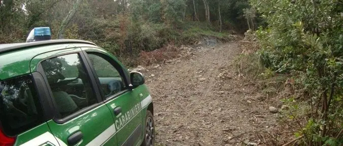 Lavori non autorizzati, denunciato il proprietario di un terreno