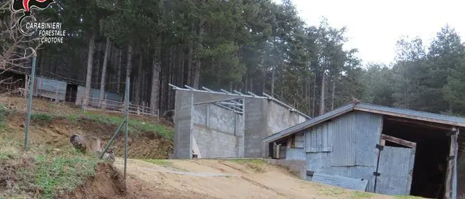 Mesoroca, sequestrato manufatto abusivo in una pineta