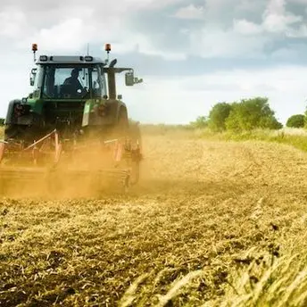 Beni confiscati, furto ai danni della cooperativa Alba: la condanna del consorzio Macramè